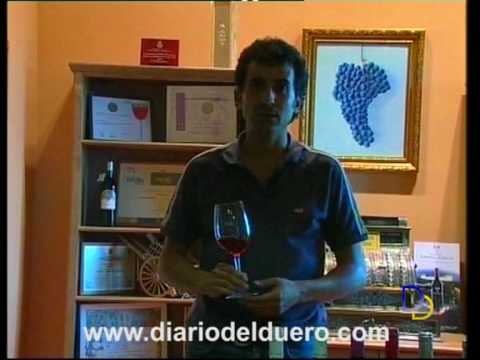 Imagen de previsualización de YouTube