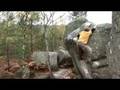 Bouldering - Marginal 7b - L.Gaidioz & J.Meyer - Bleau