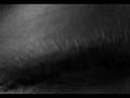 SPION