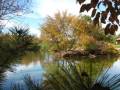 Sunday in the park...
