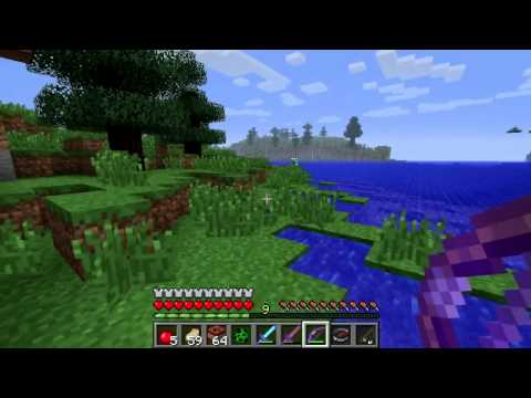Minecraft Hunger Games! Part #5 FINALE! Video