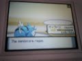 flashfox vs Zinc (Pokemon wifi Diamond Pearl Battle)