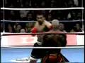 Ray Sefo Official K-1 Highlight