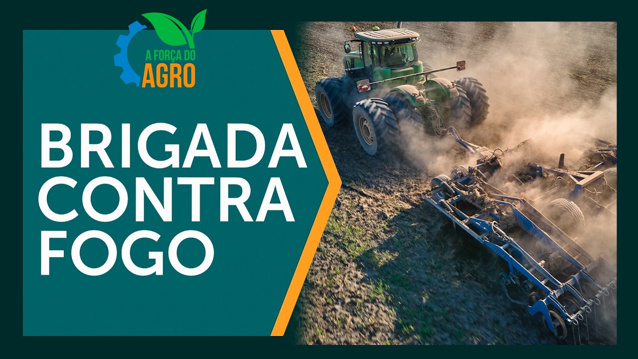 Cinco estratégias para blindar sua produção contra incêndios no campo | AFA, com Joice Maffezzolli