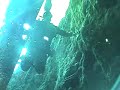 Underwater Images of Ginnie Springs - Florida - USA Underwater Images of Ginnie Springs - Florida - USA