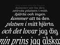 Du var mitt allt, jag saknar dig!