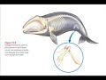 pz-myers-destroys-simmonds-in-evolution-debate-2of5.html