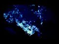 relk - caic dintre teu (videoprojecció 2005)