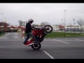 fano stunt 2