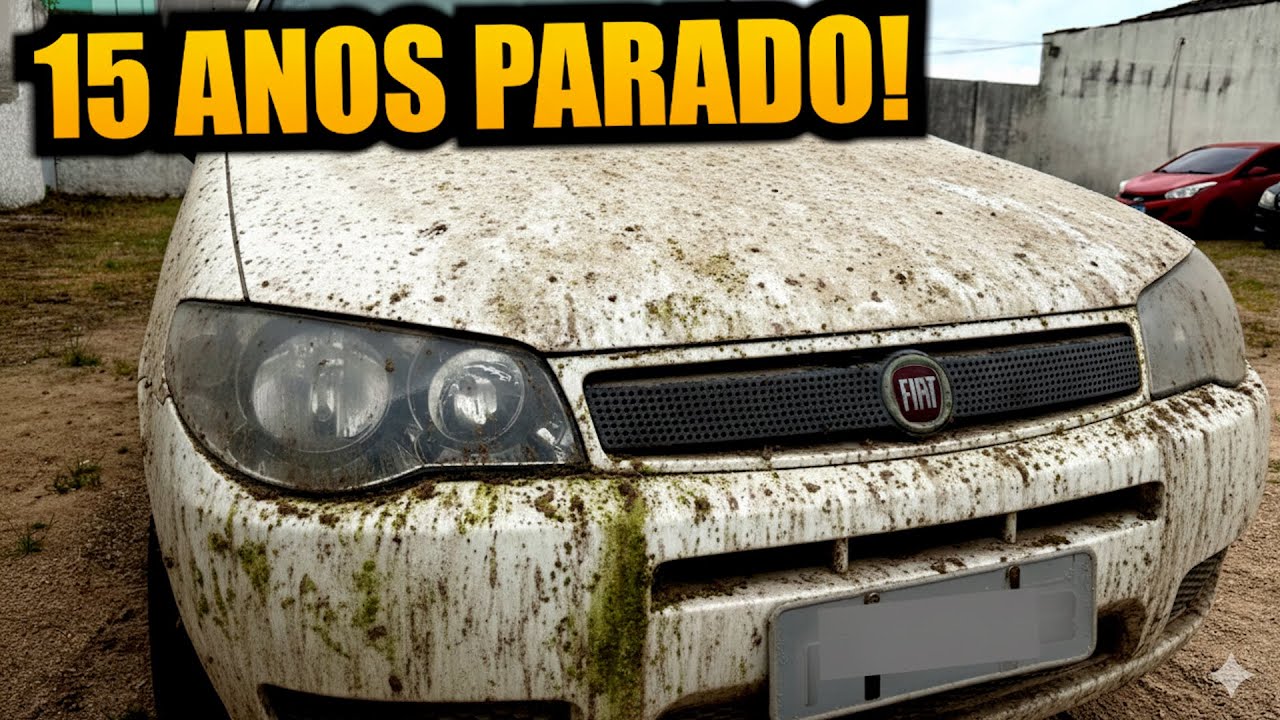 Buscamos O Palio 2010 Do Leilão!