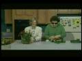 holiday_centerpiece.mp4