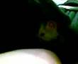 Binn-s-Last-Moments-