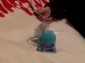 I-Dog Amp'd