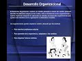 Desarrollo Organizacional