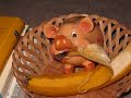 Für eine hand voll bananen Für eine hand voll bananen