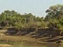 mfuwe zambia 7