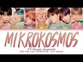 BTS (방탄소년단) - Mikrokosmos (소우주) (C