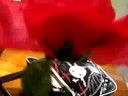 -Insert name of video here-
