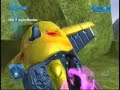 GOLDEN WARTHOG