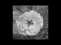 Dido Isobel with lyrics