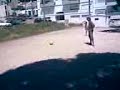 sesimbra 2008