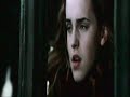 Ron and Hermione GoF Trailer-( Ron and Hermione GoF Trailer-(
