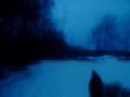 gallop 1.AVI