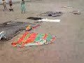 Lucky Arrives