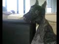 Efecto �ptico ruso