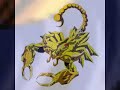 12 santos de atena zodiaco