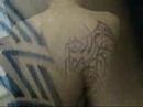 tatuajes sin dolor tatuajeseltigre