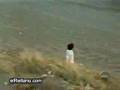 People falling...Watch N Laugh