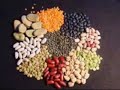 Agroecologia - Ciência e Movimento Social
