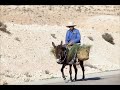 Rapture and Jewish Marriage.wmv