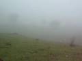 cerro 4