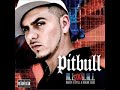 Pitbull - Calle Ocho I Know You Want Me Electro Remix
