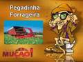 Mucao.com.br - Pegadinha - Forrageira