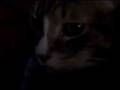 Jul 08 2008 - VID00055