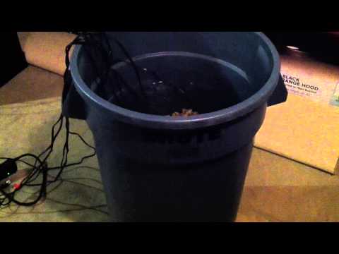 how to cure live rock