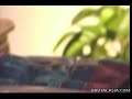 more at: http://www.brutalasia.com/main.php
french asian katsumi (katsuni) in sexy lingerie speaks in english with this lovely french accent and does a sexy massage to her boyfriend