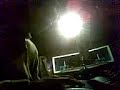 Impo Love Piano Playing By Shadi Khries