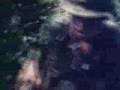 Zyklon-B - Mental Orgasm
