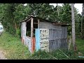 Dime que falto - Zacarias Ferreira (translation)(vertaling)