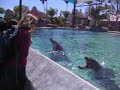 Gina with Dolphins