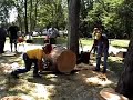 Mall 2man chainsaw