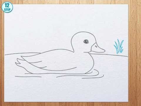 how to draw duck