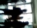 videos de Baba Elodia In Extazzz =)))))