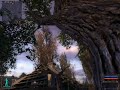 Stalker-cordon climb a tree stash Stalker-cordon climb a tree stash