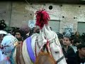 salam on Zuljanah