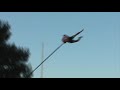 World Record -- Canal jumping (with pole, 20.41 metres)